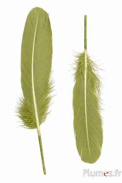 Gans - 15-21 cm, links und rechts - olive